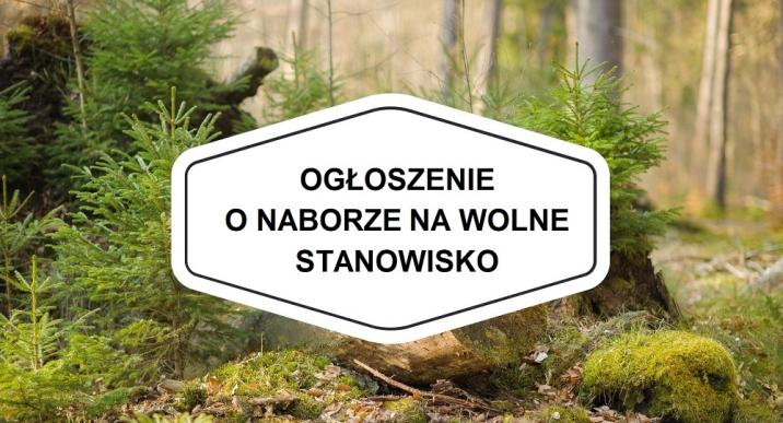Nadleśnictwo Lubichowo ogłaszanabór zewnętrzny na stanowisko robotnika wykwalifikowanego