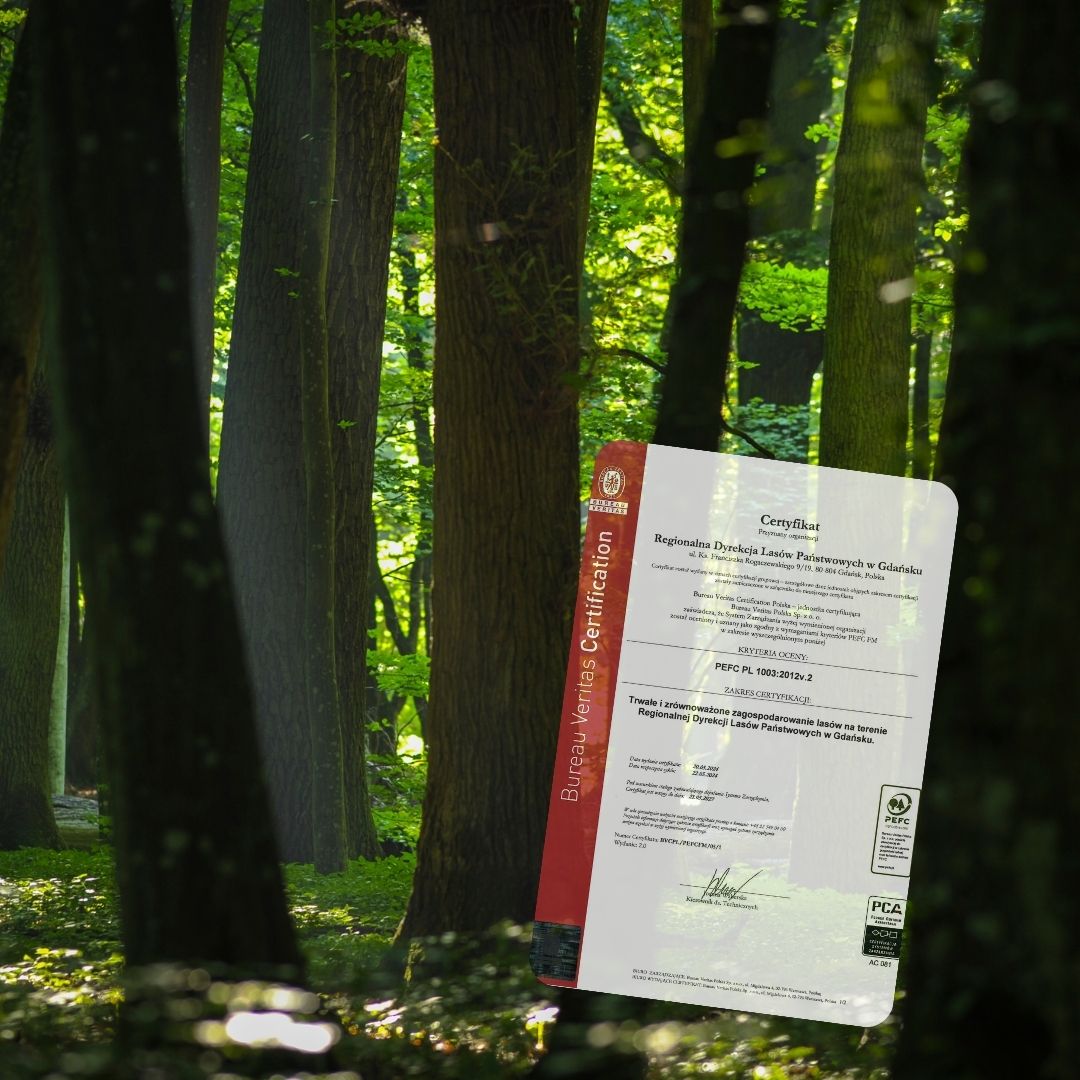 Regionalna Dyrekcja Lasów Państwowych w Gdańsku uzyskuje Certyfikat PEFC na kolejne trzy lata