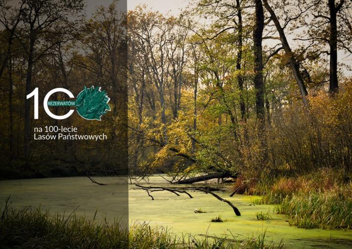 Zielonogórski Las Odrzański Fot. Przemysław Kozłowski