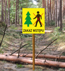 Zakaz wstępu do lasu