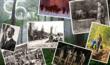 95 LAT ISTNIENIA LASÓW PAŃSTWOWYCH