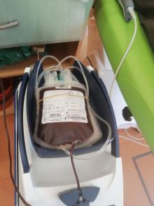 Akcja pomorskich leśników „Krew dla potrzebujących” zakończona!